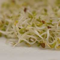 CDC Warns Of Illness Outbreaks From Certain 'Healthy' Foods