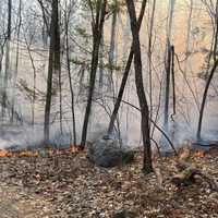 Brushfire Torches 36 Acres In Central Mass: Firefighters