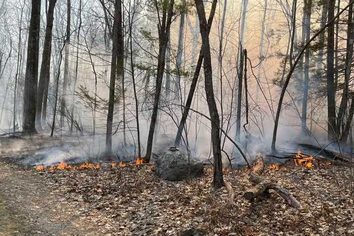 Brushfire Torches 36 Acres In Central Mass: Firefighters