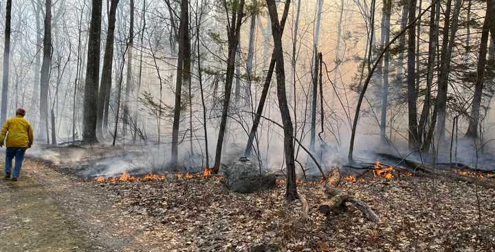 Sterling fire crews said the blaze began near Chace Hill and Metropolitan roads on Friday morning, April 14.