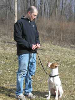 Somers Dog Trainer Offers Tips For National Dog Week 