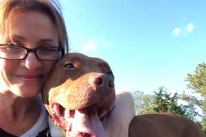 Beloved West Milford Dog Saved (Again)