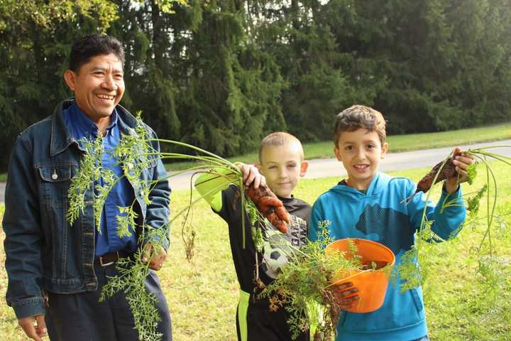 Pocantico Hills School Celebrates Fall With Harvest Festival
