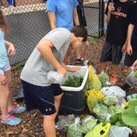 <p>Green Team members and volunteers weigh and package the produce they harvested.</p>