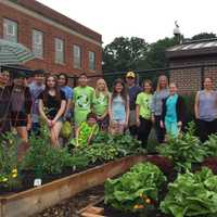 <p>The first harvest of the Suffern Middle School Green Team&#x27;s garden.</p>