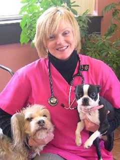 Ossining Veterinary Hospital Teams With Paws Crossed In Elmsford