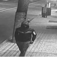 <p>A look at the burglary suspect.</p>