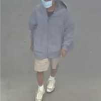 Police Searching For Man Accused Of Stealing Tools Worth $400 From Suffolk County Store