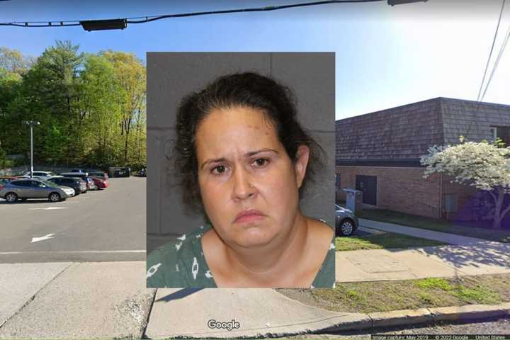 Woman Charged With Animal Cruelty In Death Of Dog Left In Hot Car, Southington Police Say