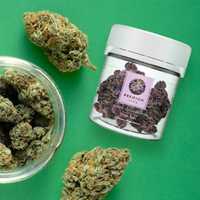 The Best THCA Flower in 2023: Our Roundup