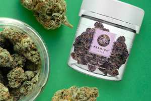 The Best THCA Flower in 2023: Our Roundup