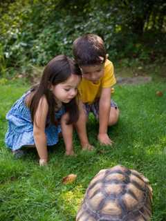 Greenburgh Nature Center Seeks Support For Mission