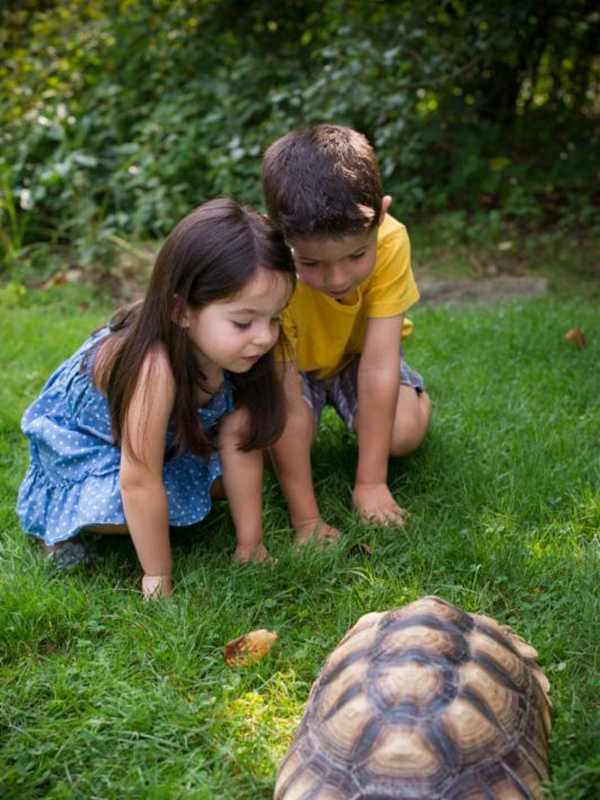 Greenburgh Nature Center Seeks Support For Mission