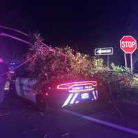 Officer Escapes Injury After Tree Falls On Cruiser Following 100 MPH Police Chase On Taconic