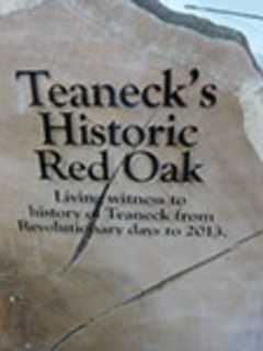Teaneck Library Installs Slab Of Town's Historic Oak Tree In Courtyard