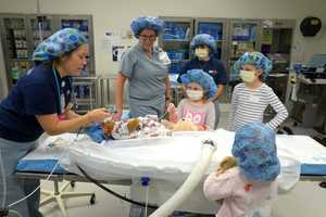 White Plains Hospital To Offer Teddy Bear 'Checkups' 