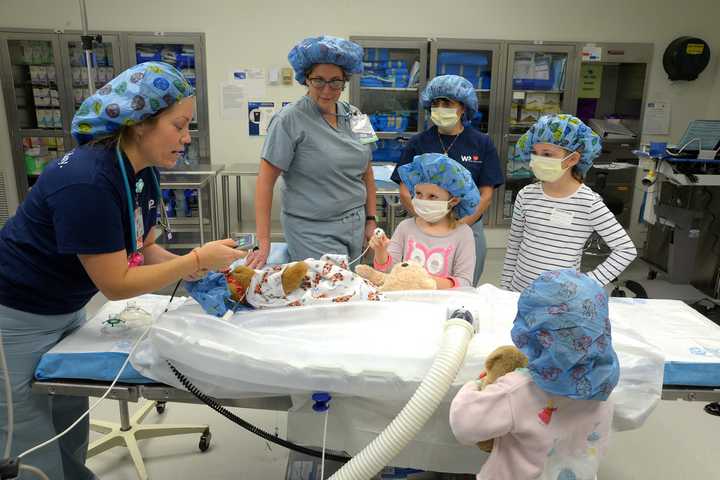 White Plains Hospital To Offer Teddy Bear 'Checkups' 