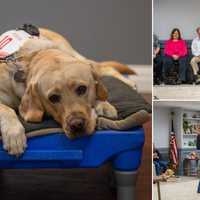Guide Dog Graduation: Yorktown-Based Nonprofit Provides Pups To Homes Across US