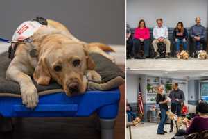 Guide Dog Graduation: Hudson Valley-Based Nonprofit Provides Pups To Homes Across US