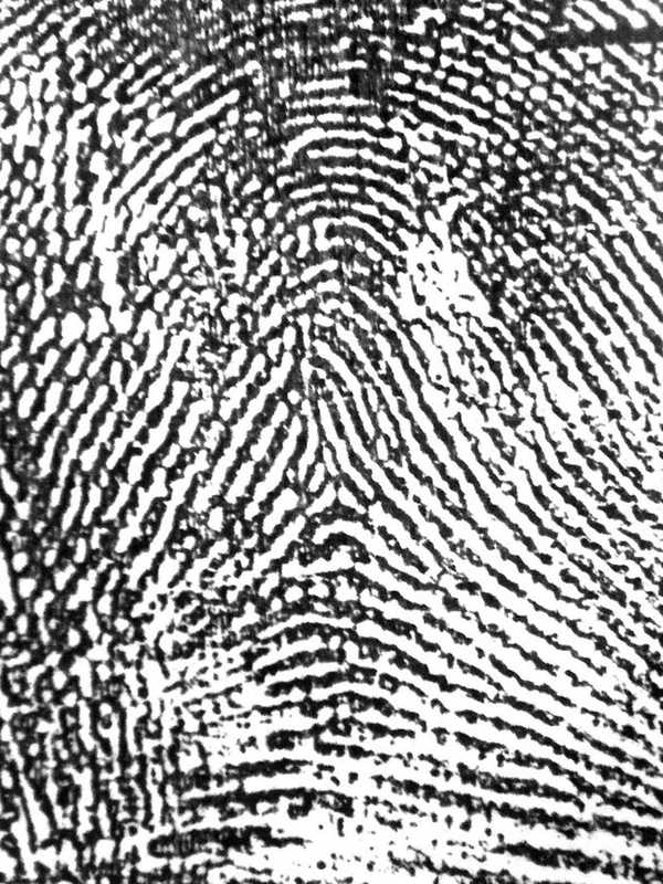 State Awards Money For New Fingerprint Equipment For Local Law Enforcement
