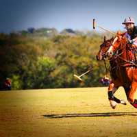 <p>Pawling&#x27;s Victory Cup Polo Match is taking place on July 16.</p>