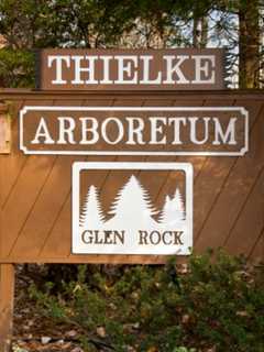 Twilight Walk Scheduled At Glen Rock Arboretum