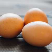 200 Million Eggs Recalled Over Salmonella Fears