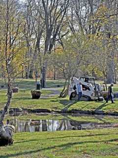 Tree Conservancy Of Darien Plants Trees In Honor Of Late Resident