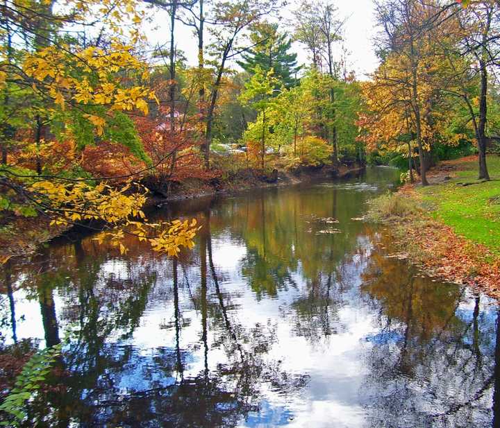 Tin Brook Creek.