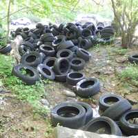 <p>Some of the tires dumped at the park.</p>