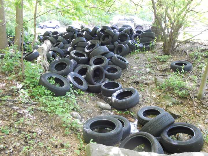 Some of the tires dumped at the park.