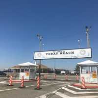 Here's Lineup For New Long Island Drive-In Concert Series