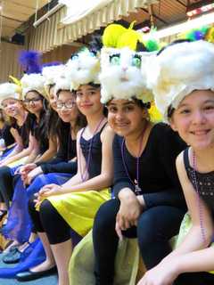 Everybody Wants to Be A Cat At Todd Elementary School