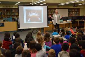 Author's Book Spikes Students' Curiosity At Todd Elementary School