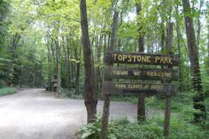 Redding Police Seek Info On Dog-Bite Incident At Topstone Park