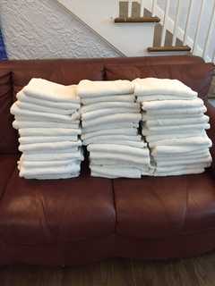 Armonk Shelter Dogs Stay Warm Thanks To Saw Mill Club Towel Donation