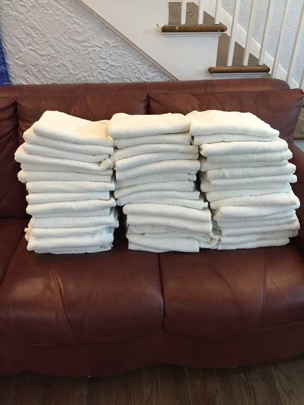 Armonk Shelter Dogs Stay Warm Thanks To Saw Mill Club Towel Donation
