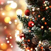 Street Closures Announced For Newark North Ward Tree-Lighting Ceremony