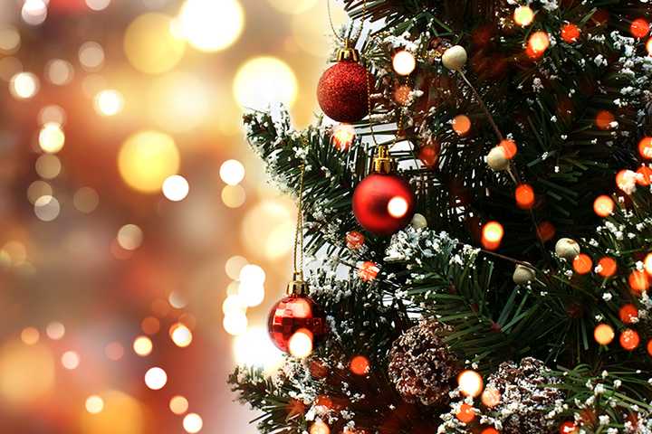 Street Closures Announced For Newark North Ward Tree-Lighting Ceremony