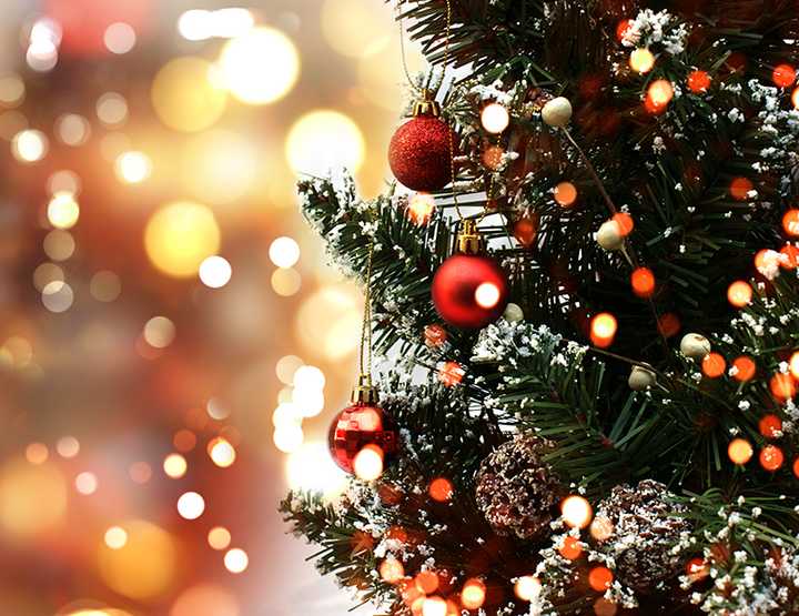 A parade and tree-lighting is scheduled in Newark&#x27;s North Ward Friday