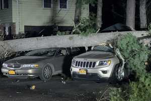 Severe Winds Topple Large Tree On Top Of Two Vehicles In Area