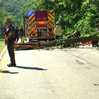 New Update: Hudson Valley Deli Owner Killed After Crash Involving Tree