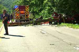 New Update: Hudson Valley Deli Owner Killed After Crash Involving Tree