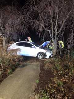 Car Crashes Into Tree On White Plains Road In Trumbull