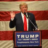 <p>Donald Trump</p>