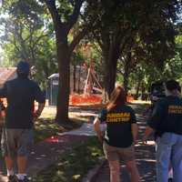 <p>Tyco Animal Control Officers making sure a bear remains in a tree until Fish and Wildlife arrives</p>