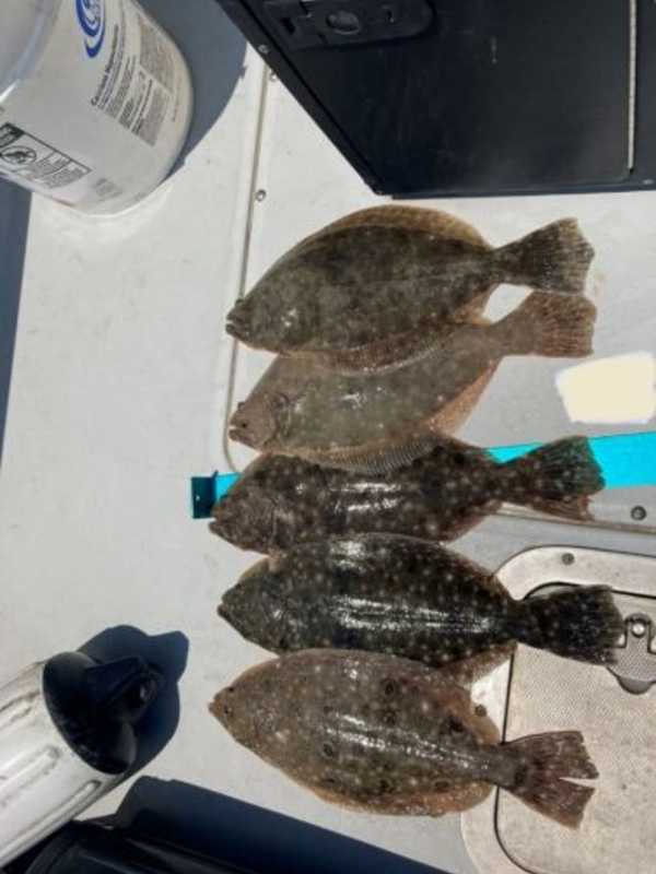 Undersized Fish Discovered On Two Different Boats On Long Island, DEC Says