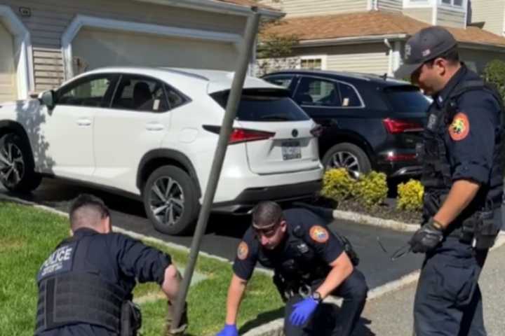 Video: Police Rescue Baby Goslings From Long Island Storm Drain