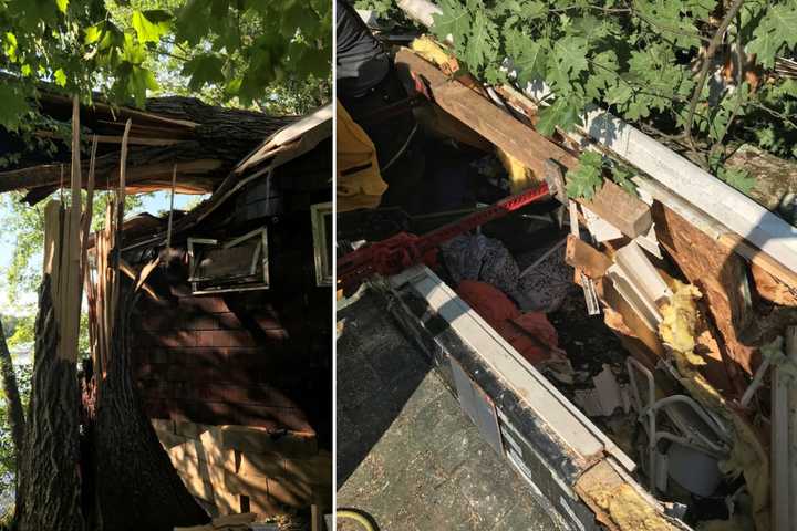 Trapped Elderly Woman Rescued After Tree Falls On Home During Severe Storm In Capital District