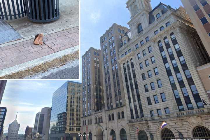 The City of Albany is investigating reports of debris falling from the historic State Room building on State Street.